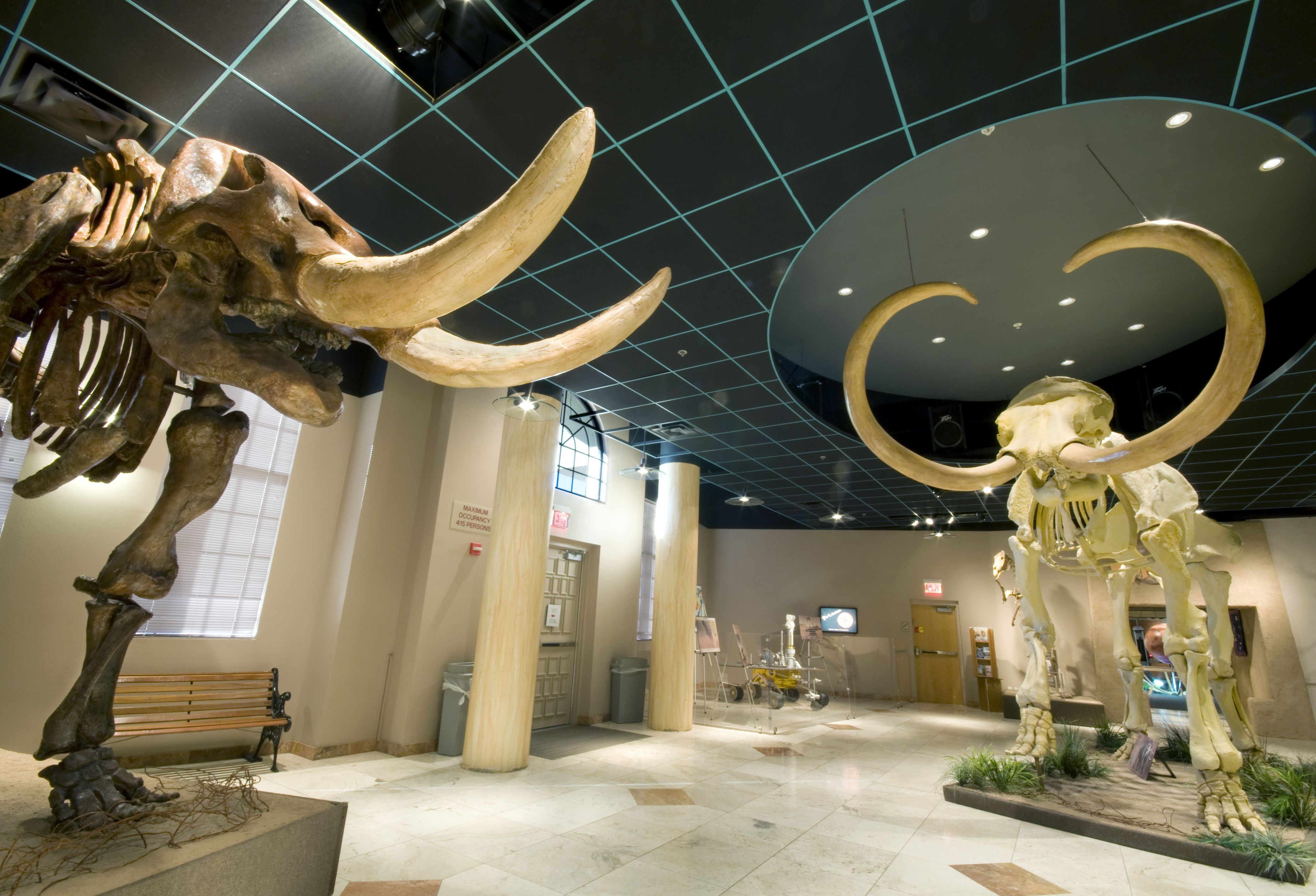 Arizona Museum of Natural History