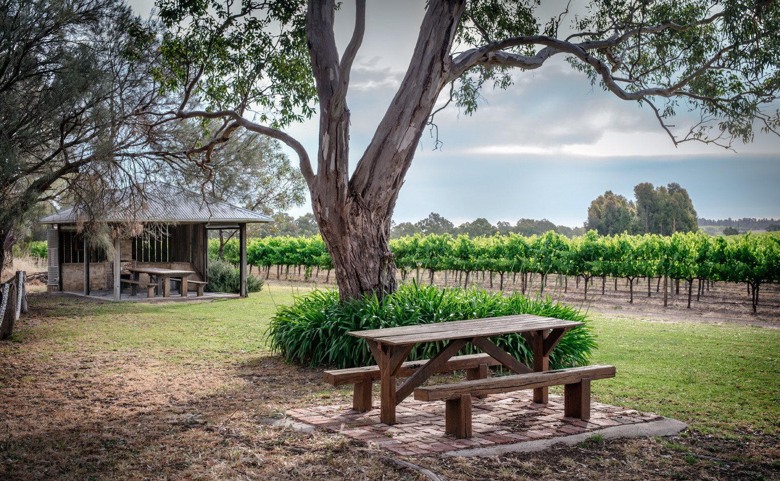 Shottesbrooke Vineyards