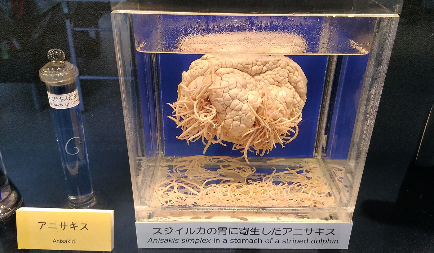 Meguro Parasitological Museum