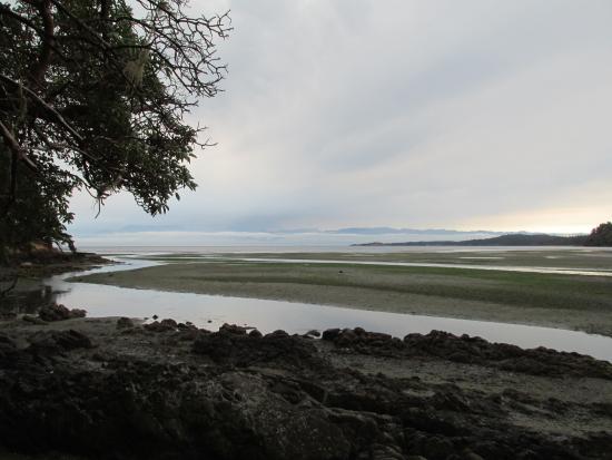 Witty's Lagoon Regional Park