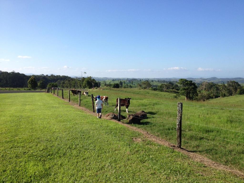 Millaa Millaa Golf Club