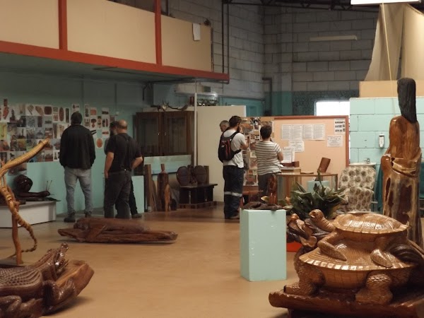Ants Redgum Gallery