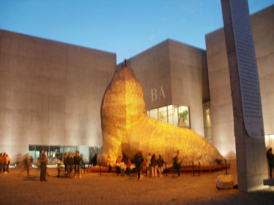 MAR Museo de Arte Contemporaneo