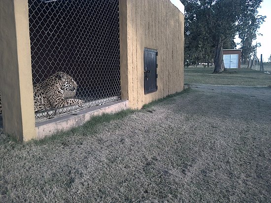 Zoologico de san carlos