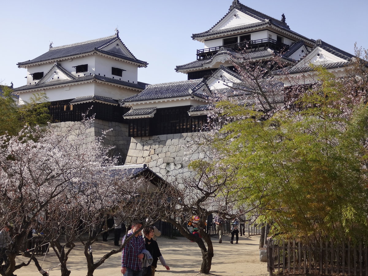Matsuyama CastleTenshu
