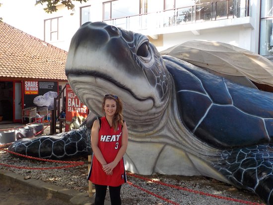 Bali Sea Turtle Society (BSTS)