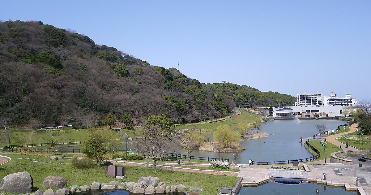 Shii Park