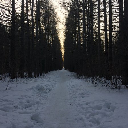 Dendrologic Park