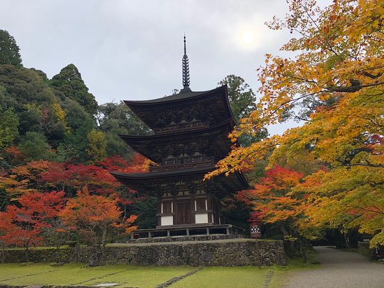 Saimyo-ji Temple 3 Storey Tower