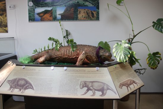 Vyatskiy Paleontologic Museum