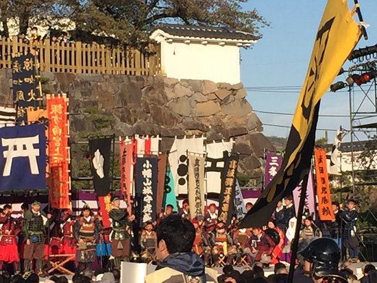 Shingenko Festival