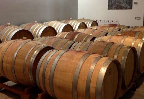 Cantina Terenzi