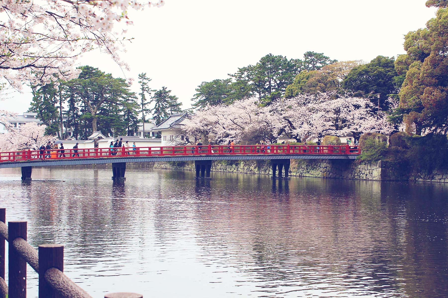 Odawara Ohashi Bridge