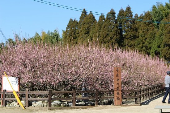 Fukoji temple