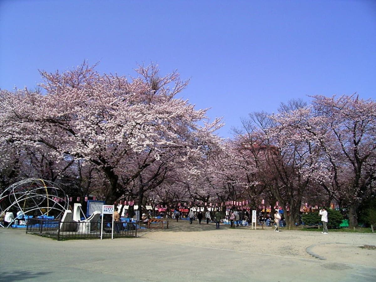 Nishi Park