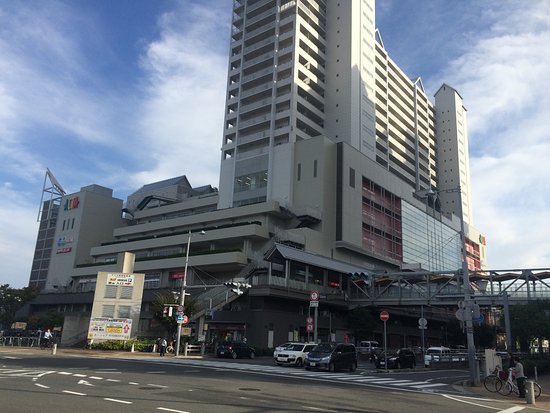 Acta Nishinomiya