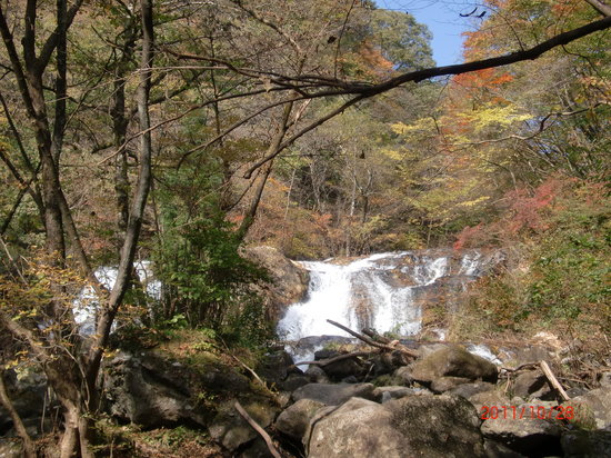 Outdoor Pictures 1