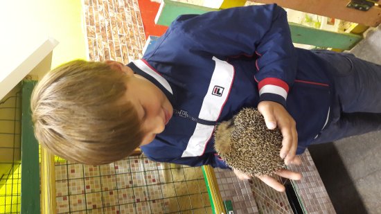 Touching Zoo Zhivaya Skazka