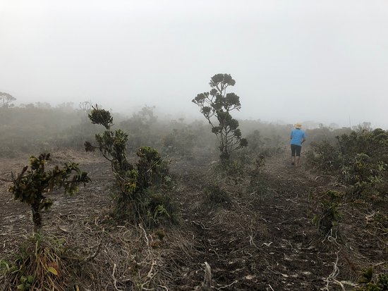 Mount Sibuatan