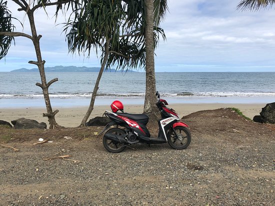 Koro Makawa Rentals & Tours
