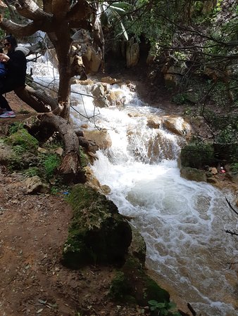 Parod Stream