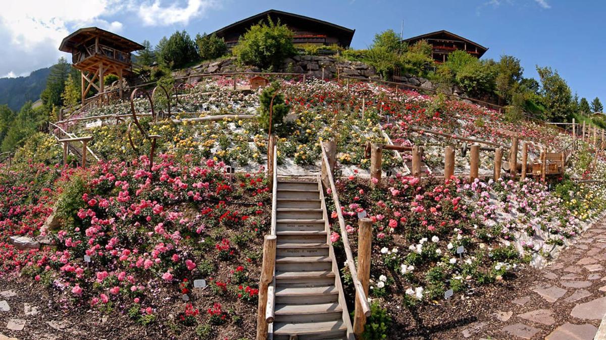 Rosarium Uhrerhof