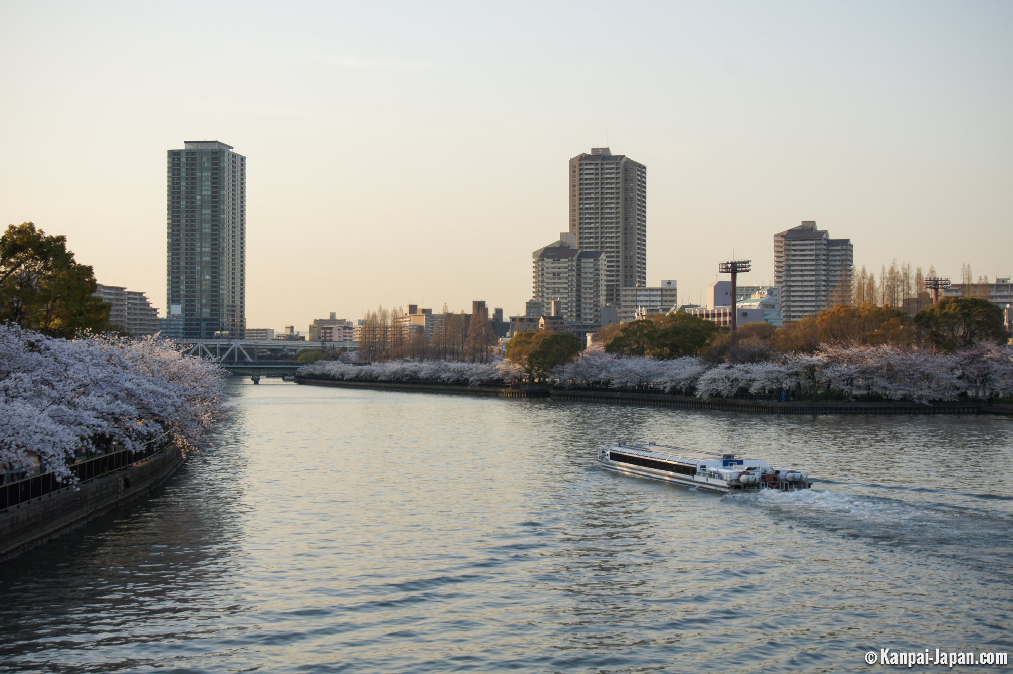 Miyakojima Origin