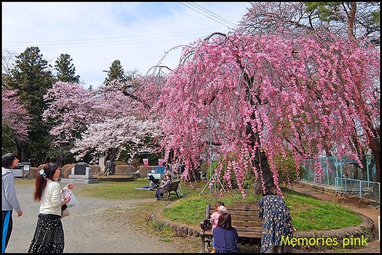 Mizusawa Park