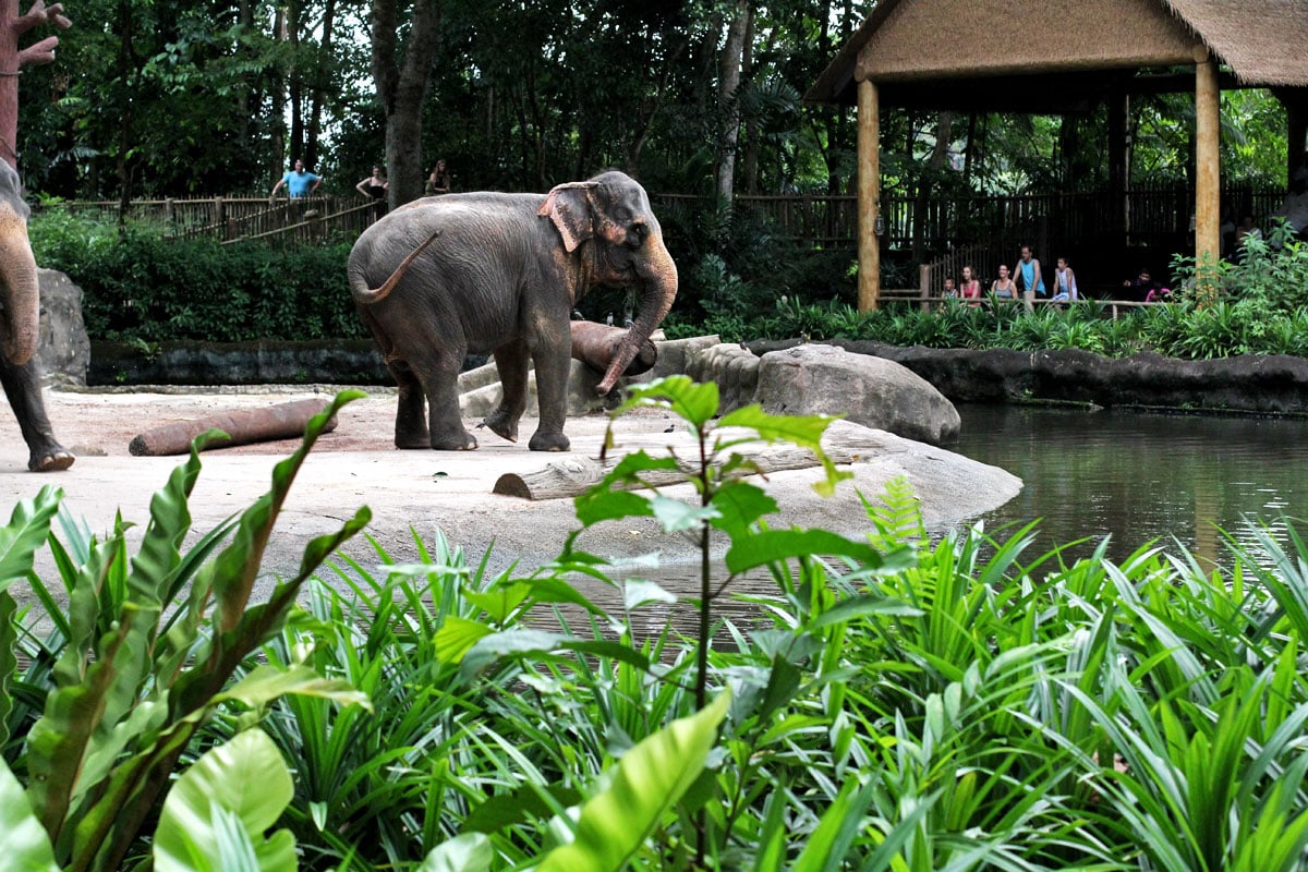 Horii Zoo
