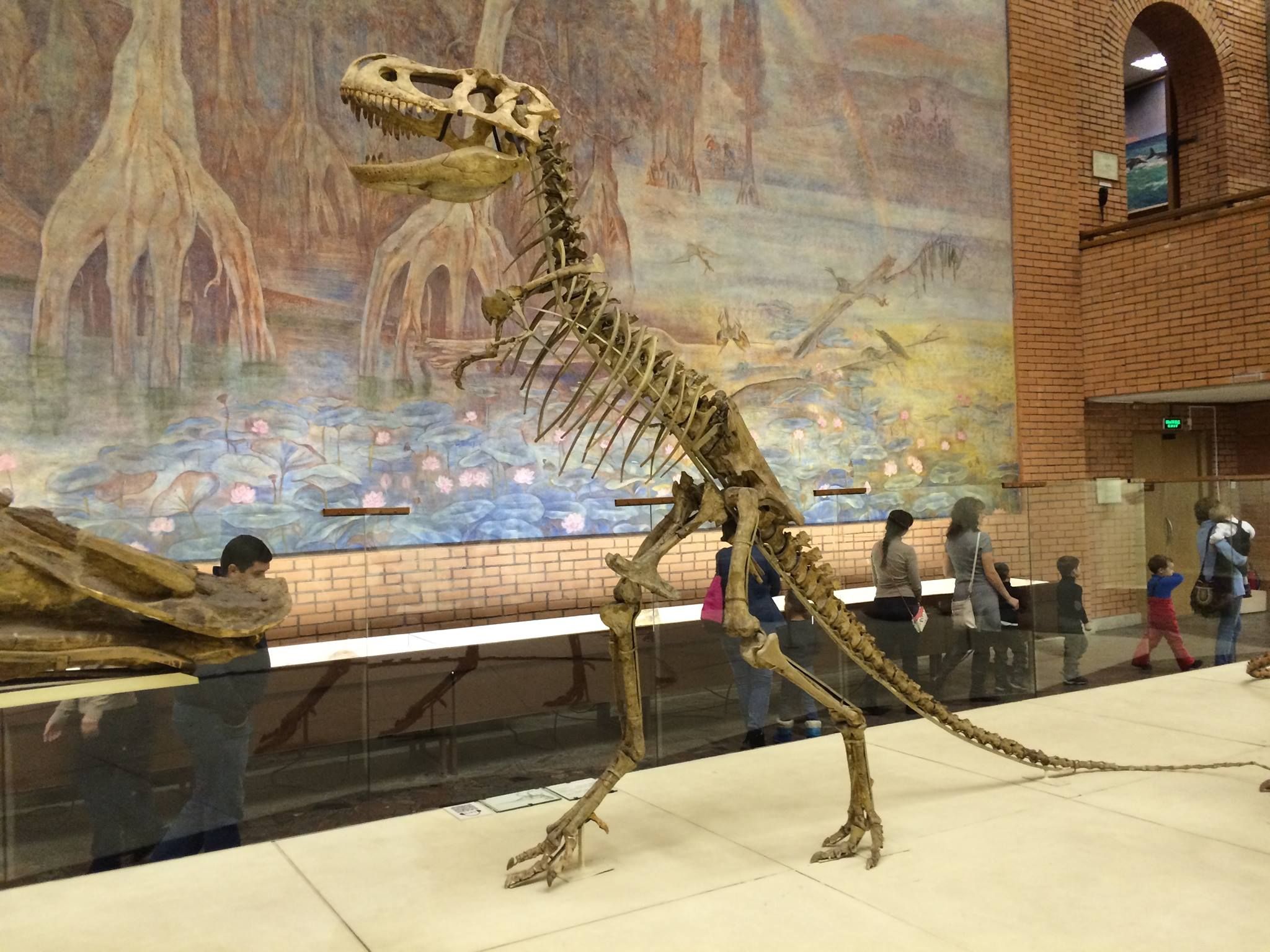 Orlov Paleontological Museum