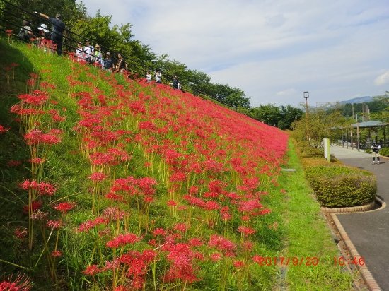 Minamiashigara Sports Park