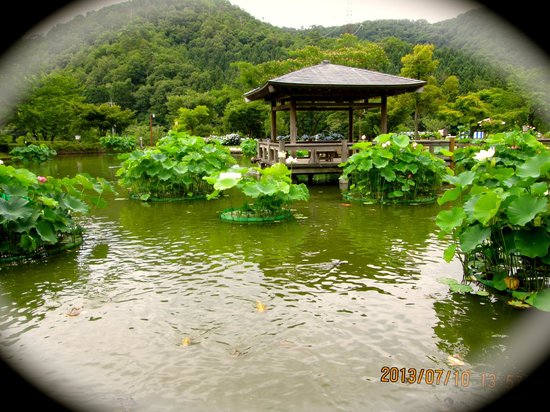 Water Land Nanjo