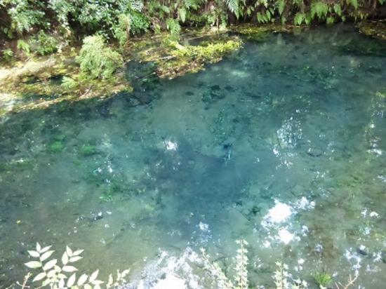 Wakisawazu Water Source