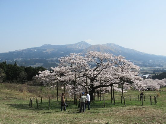 Kawachigo Spring Source