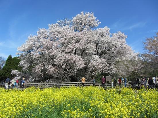 Isshingyo Park