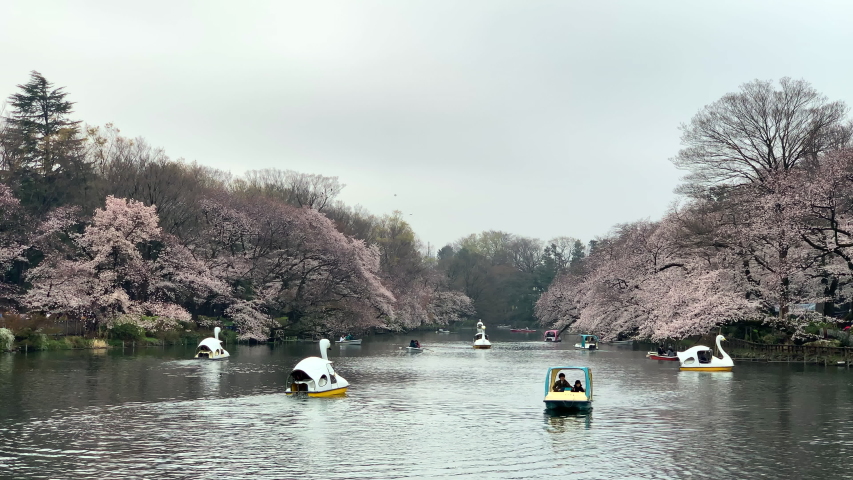 Sengawa Park