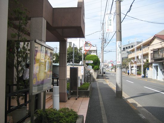 Midorigaoka Tennis Garden