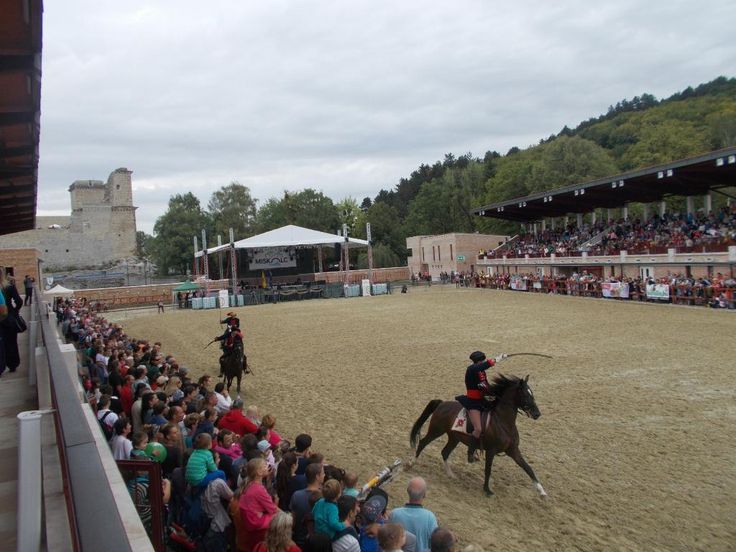 Tournament Field