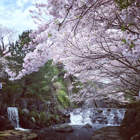 Tachibana Park