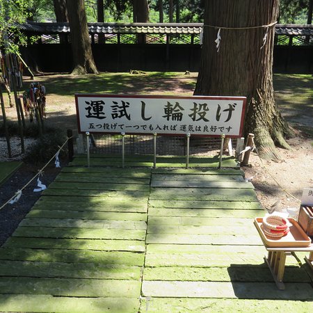 Chichisugi in Iwakura