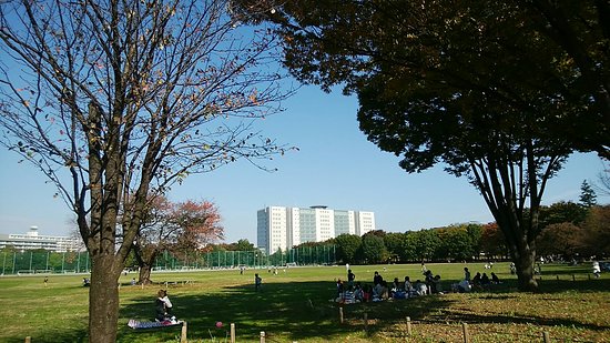 Musashino Chuo Park