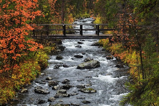 Lapland Nature Reserve