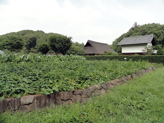 Noyamakita Rokudoyama Park