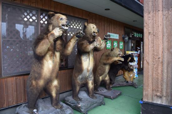 Friendly Bear