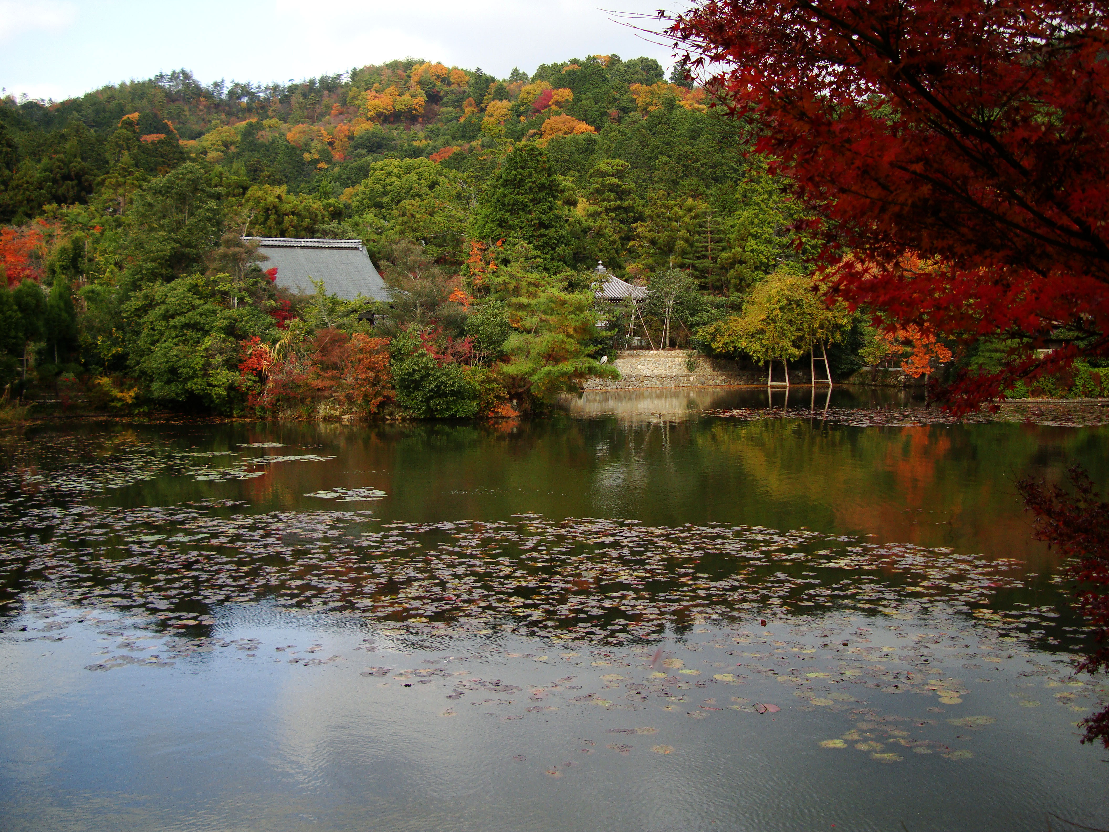 Sansai Pond