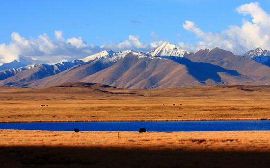 Qiangtang Prairie