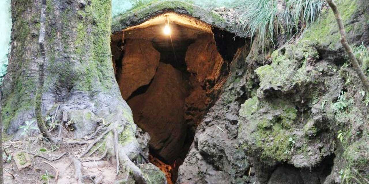 Eco Cave Gardens