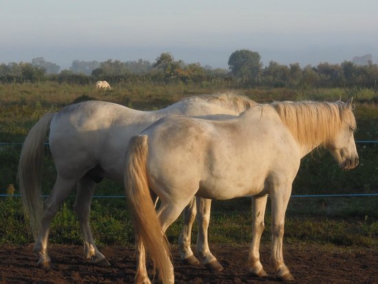 Brenda Centre de Tourisme Equestre Day Tours