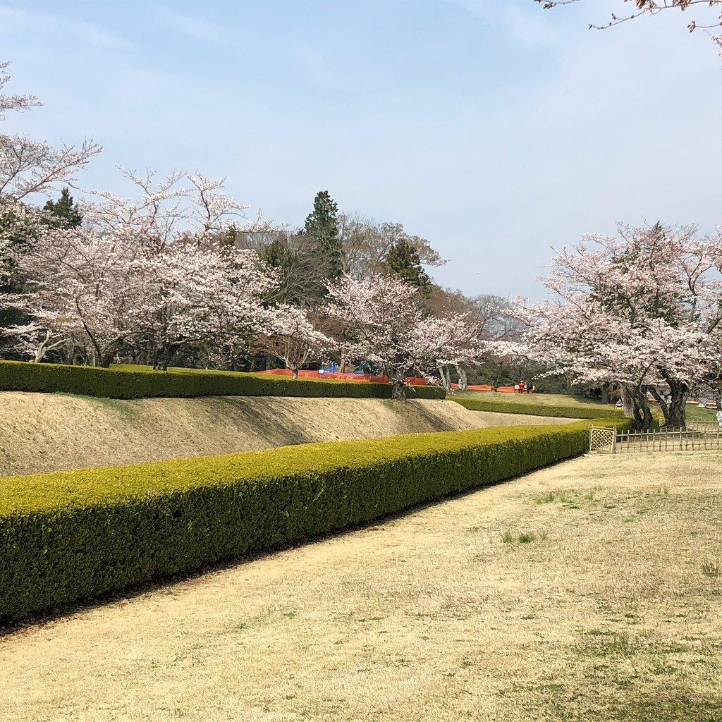 Sakura Castle Site Park