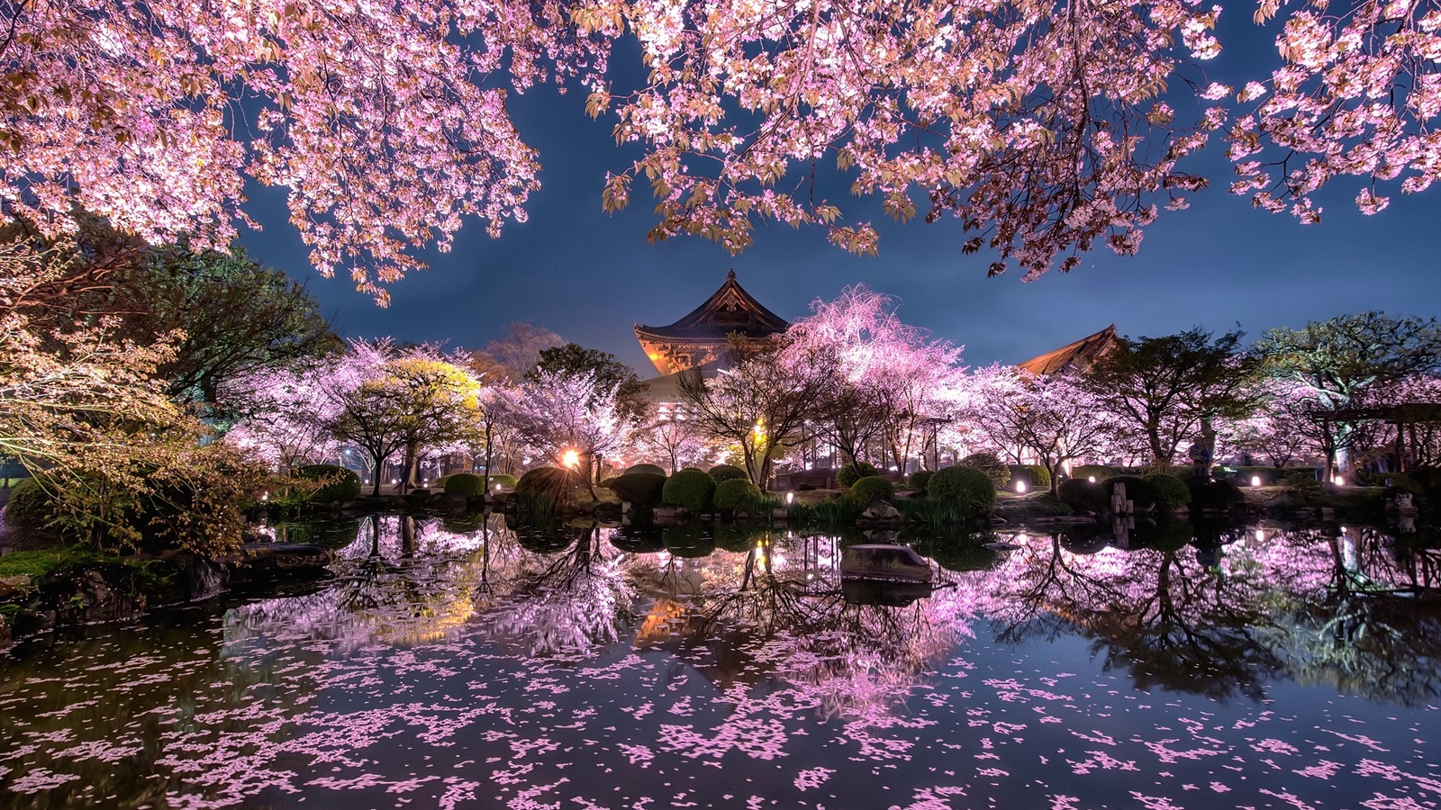 Sakura Garden